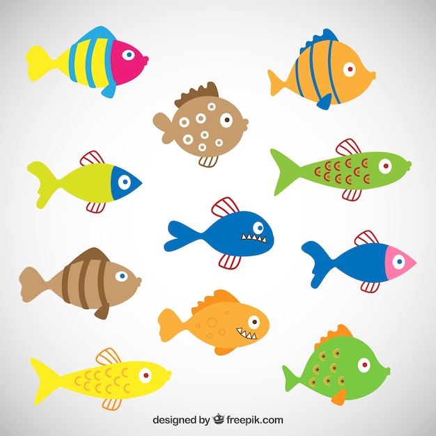 Download Colored fishes Vector | Free Download