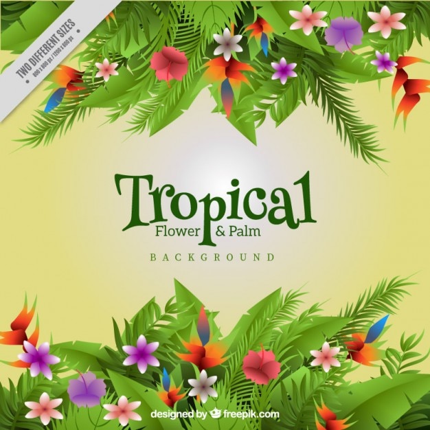 Colored tropical flowers and leaves\
background