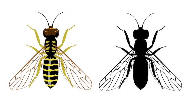 白地にハチのカラフルで黒いシルエット 飛んでいる昆虫のイラスト プレミアムベクター