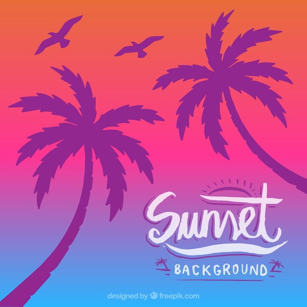 Colorful background with silhouette of palm\
trees and birds