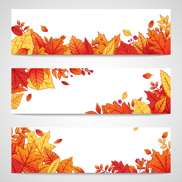 Premium Vector Colorful Banner Set With Autumn Leaves By Using