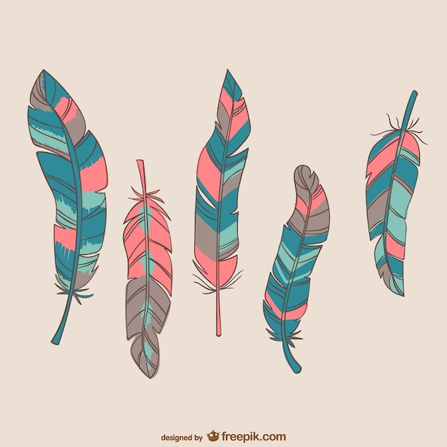 Colorful bird feathers