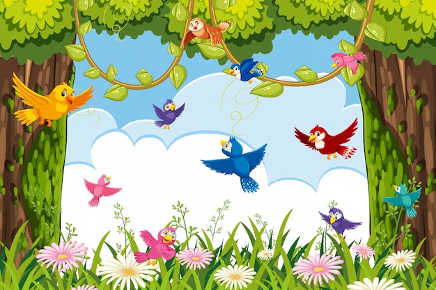 Premium Vector | Colorful birds in jungle scene