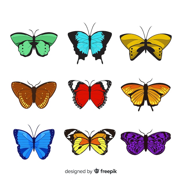Colorful butterflies collection Vector | Free Download
