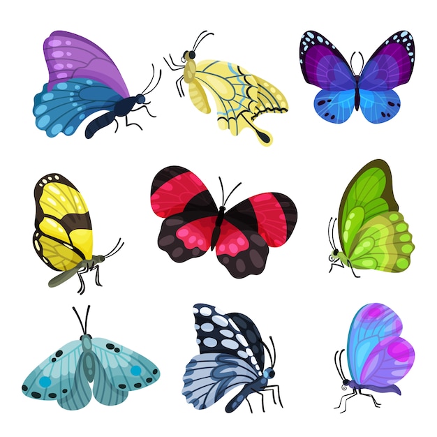 プレミアムベクター カラフルな蝶セット 白い背景の上の美しい空飛ぶ昆虫イラスト