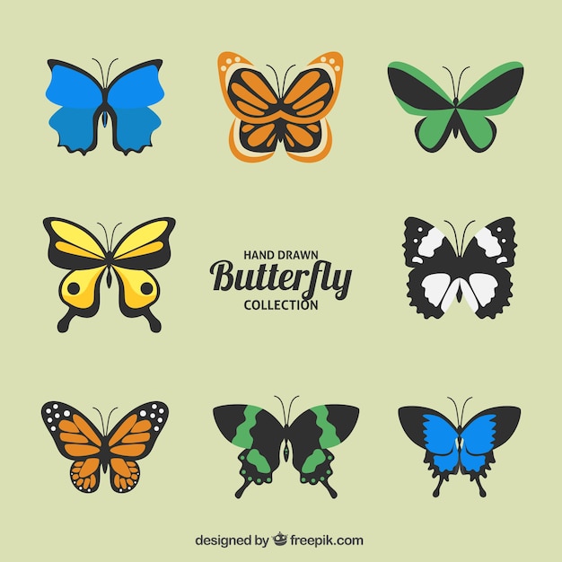 Colorful butterfly set