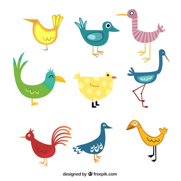 Colorful cartoon birds