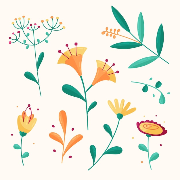 Premium Vector | Colorful collection of spring flowers