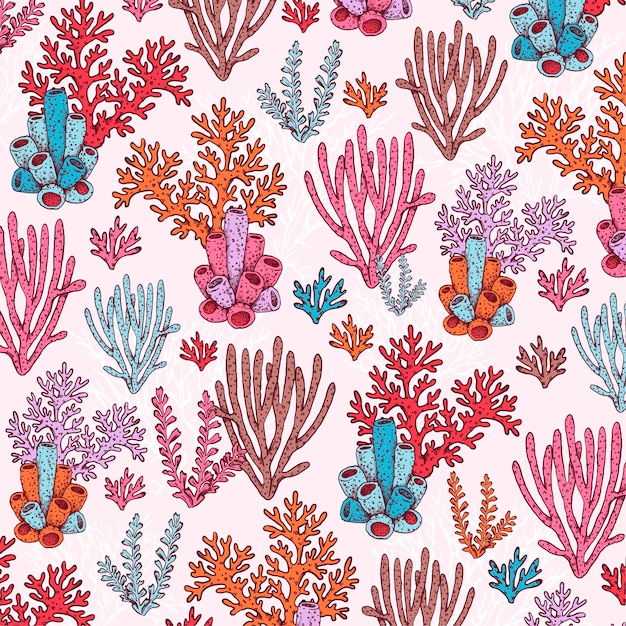 Colorful coral pattern Free Vector