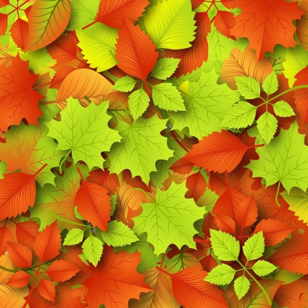 Colorful fall leaves autumn background