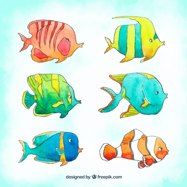 水彩スタイルのカラフルな魚コレクション 無料のベクター