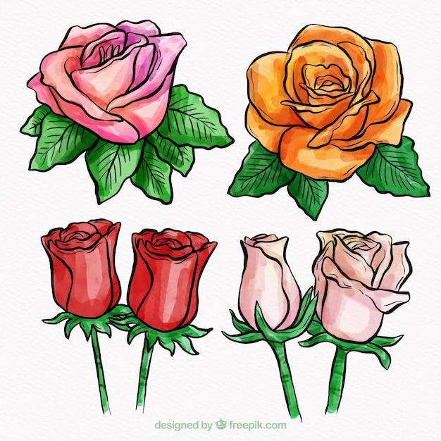Colorful flowers collection in watercolor
style