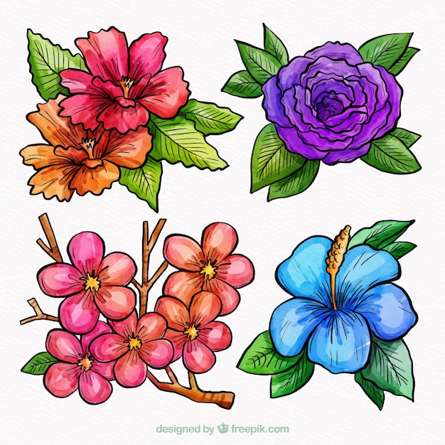 Free Vector | Colorful flowers collection in watercolor style