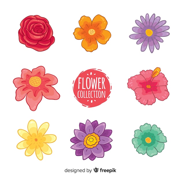 Free Vector | Colorful flowers collection