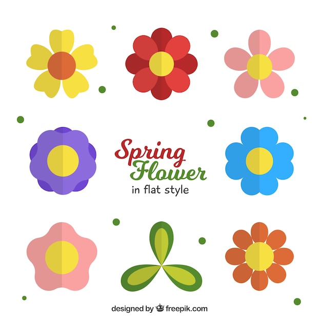Free Vector | Colorful flowers in flat design