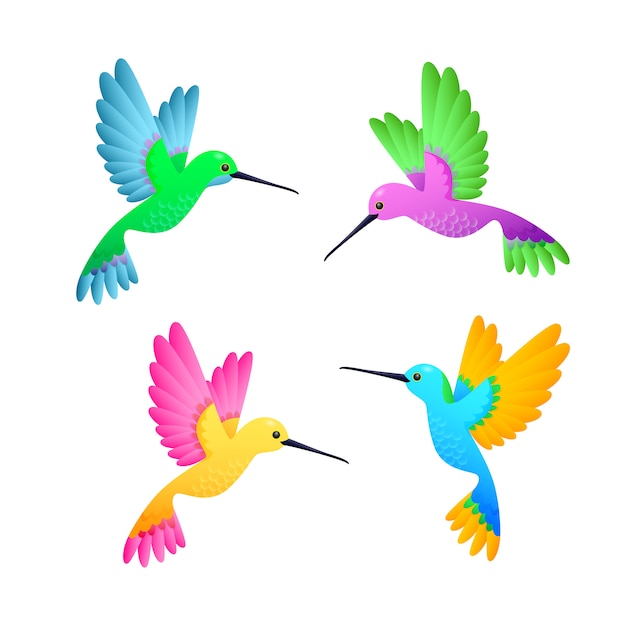 Free Free 339 Vector Hummingbird Svg Free SVG PNG EPS DXF File