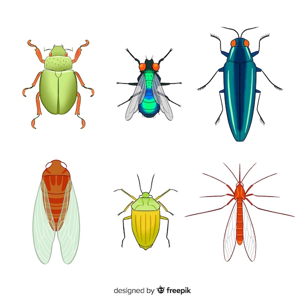 Colorful insect collection | Free Vector