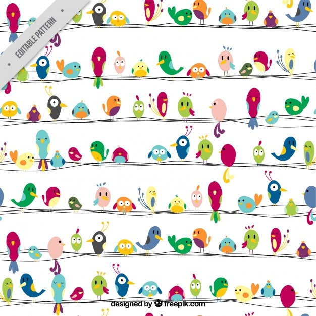 Colorful nice birds pattern