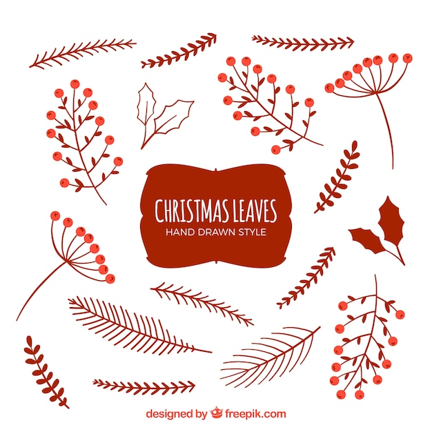 Free Vector | Colorful pack of christmas leaves