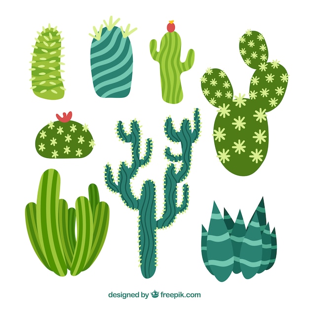 Free Vector | Colorful pack of flat cactus