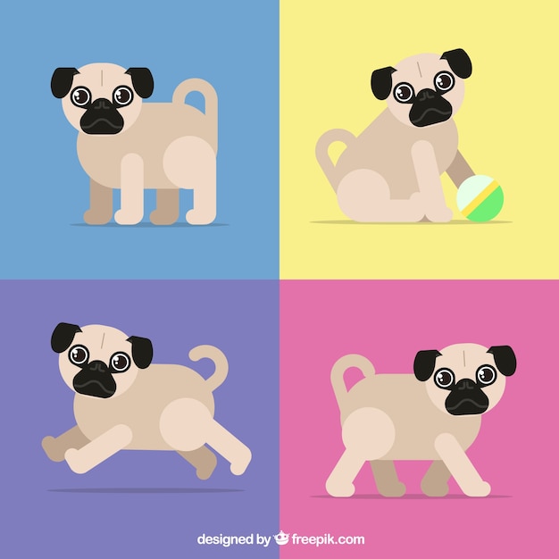 Colorful pack of pugs with flat design