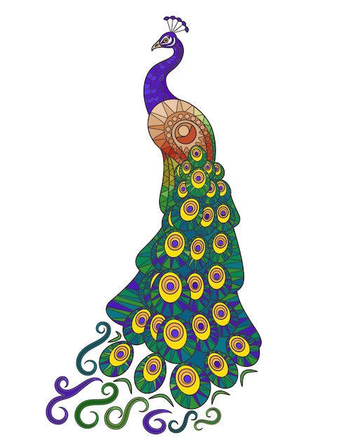 カラフルな孔雀のイラスト 装飾的な孔雀の尾 プレミアムベクター