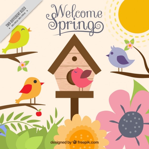Colorful spring background with birds