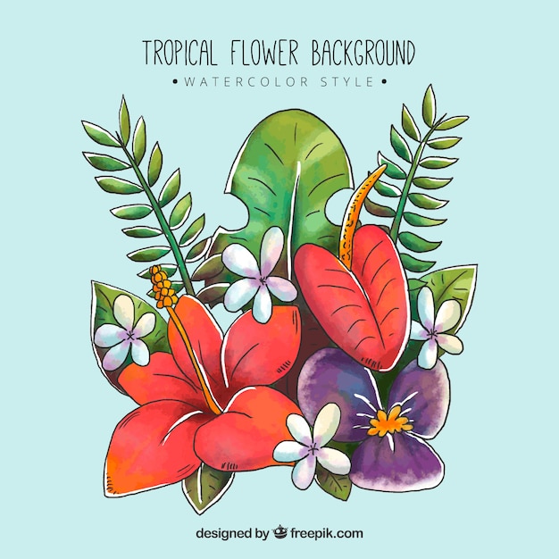 Colorful water color style tropical flower\
background