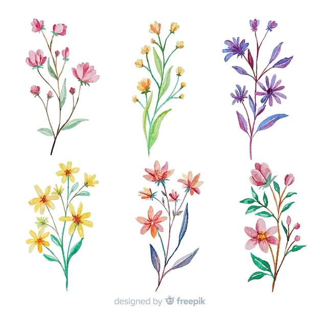 Colorful watercolor floral branch collection | Free Vector