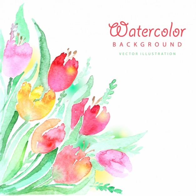 Colorful watercolor tulips background