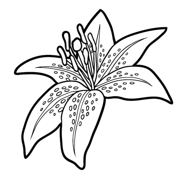 Premium Vector | Coloring book for children, flower lily