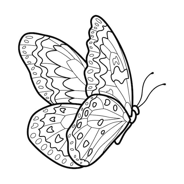 Premium Vector | Coloring book or page for kids. butterfly black and ...