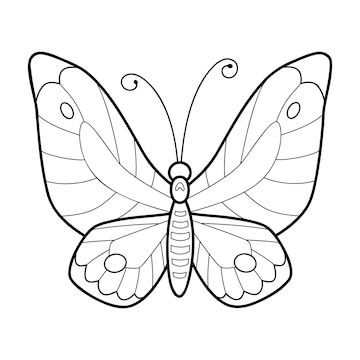 Premium Vector | Coloring book or page for kids. butterfly black and ...