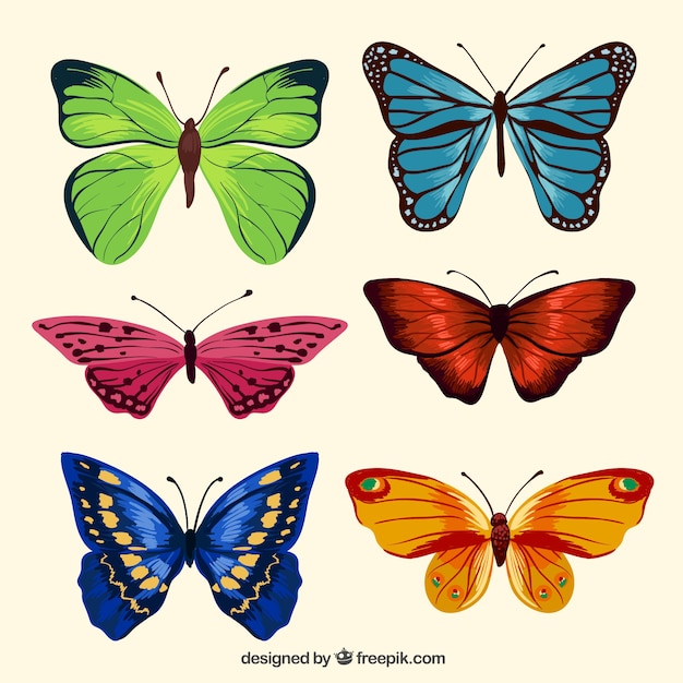 Colors butterflies pack in realistic\
design