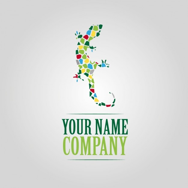 Colors gecko logo template