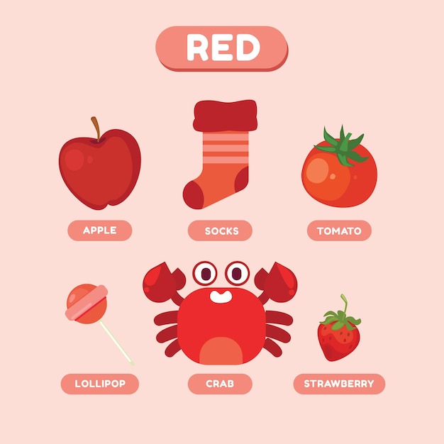 Free Vector | Colors and vocabulary set in english