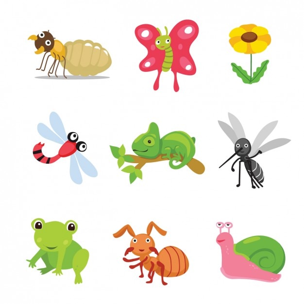 Coloured animals and insects collection