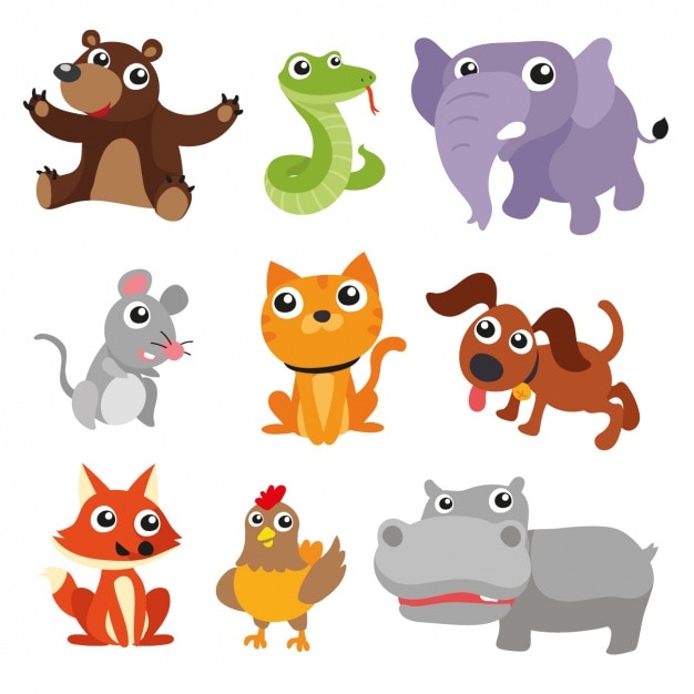Coloured animals collection Vector | Free Download