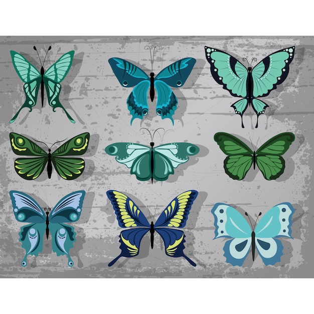 Coloured butterflies collection