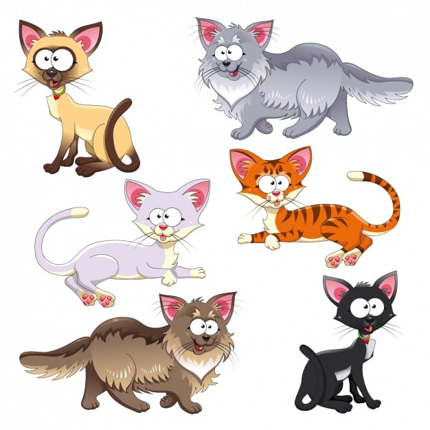 Coloured cats collection Vector | Free Download