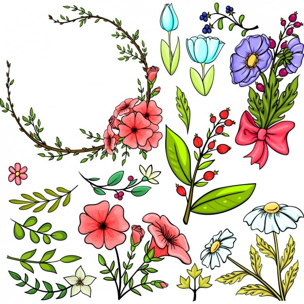 Download Coloured floral elements Vector | Free Download