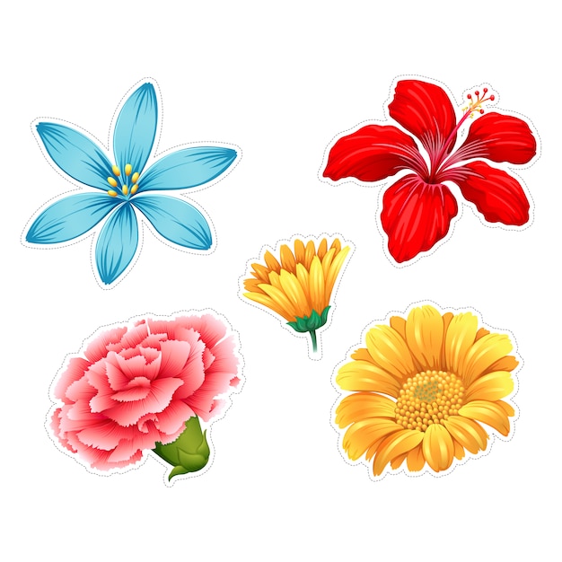 Coloured flowers collection | Premium Vector