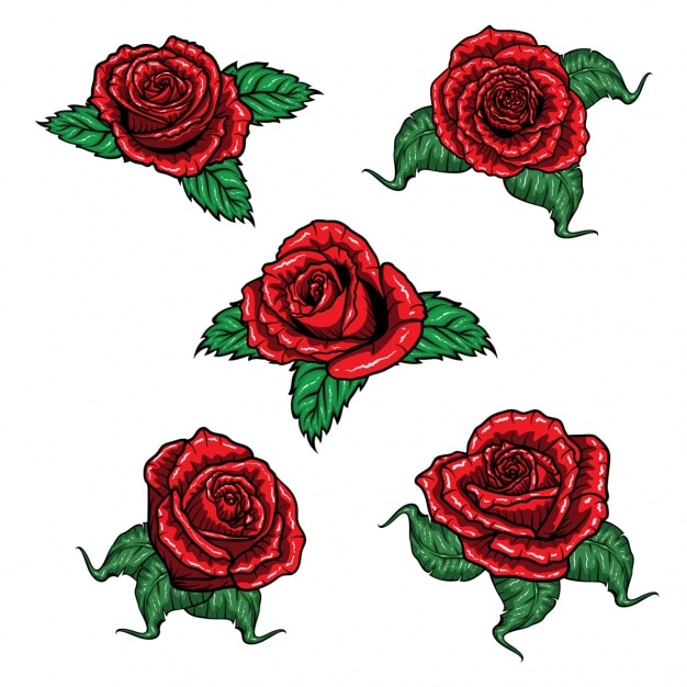 Coloured roses collection