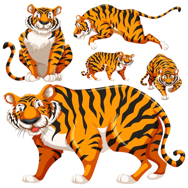vector free download tiger - photo #18