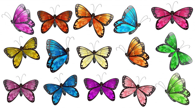 Colourful Printable Butterfly Pictures