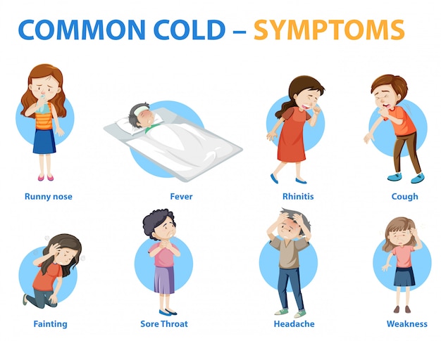 Free Vector Common Cold Symptoms Cartoon Style Infographic