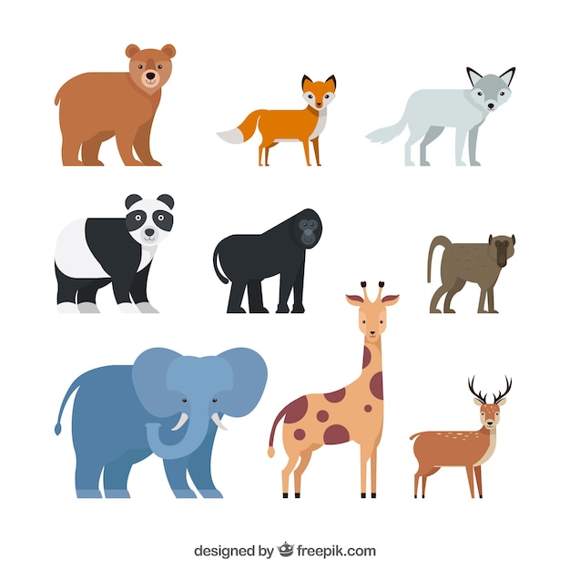 Complete pack of wild animals with flat\
design
