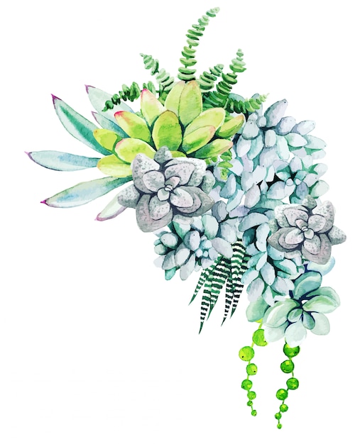 Download Premium Vector | Composition of watercolor cactus plants ...