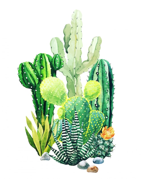 Download Composition of watercolor cactus plants and succulents ...