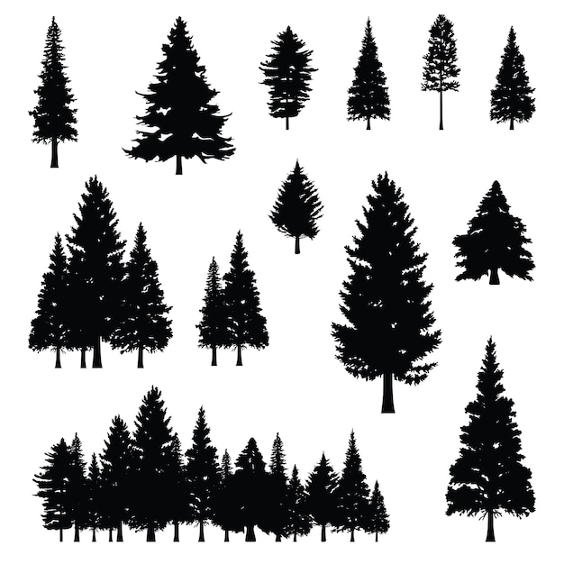 Pine Tree Silhouette Images Free Vectors Stock Photos Psd